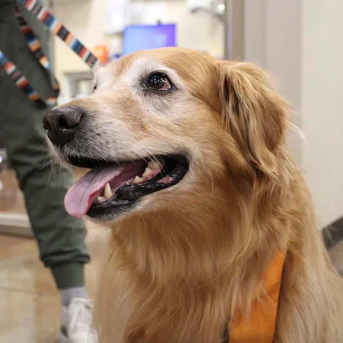 Valley Animal Hospital Picture 4