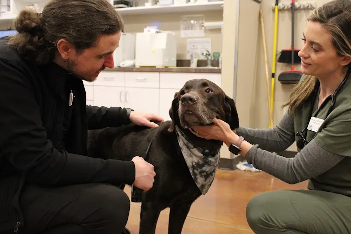 Valley Animal Hospital Picture 6