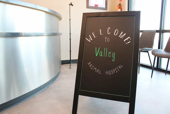 Valley Animal Hospital Picture 8