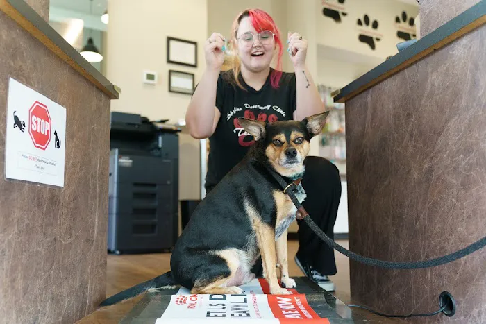 Skyline Veterinary Clinic Picture 10