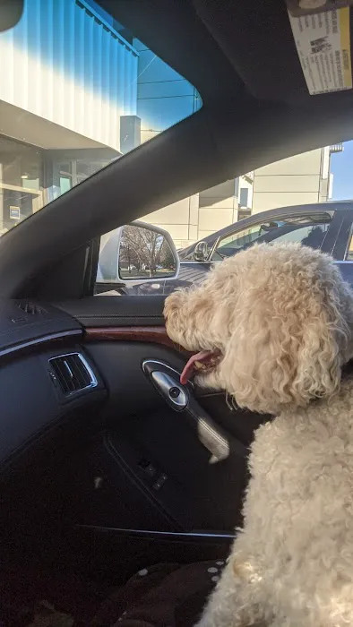 All About Pets Veterinary Center Picture 3