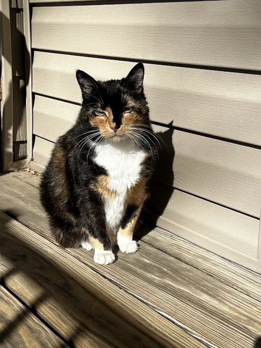 The Pet Clinic Picture 1