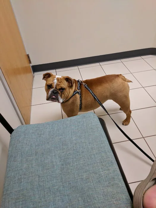 The Pet Clinic Picture 4