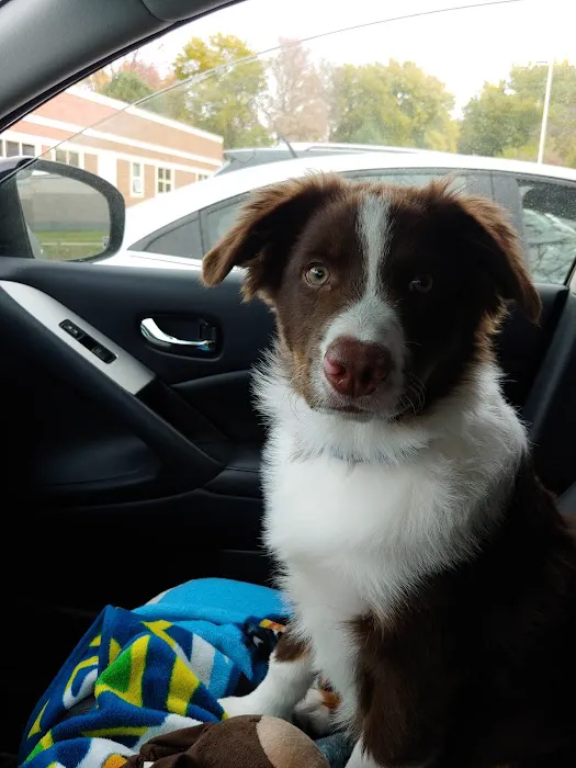 The Pet Clinic Picture 2