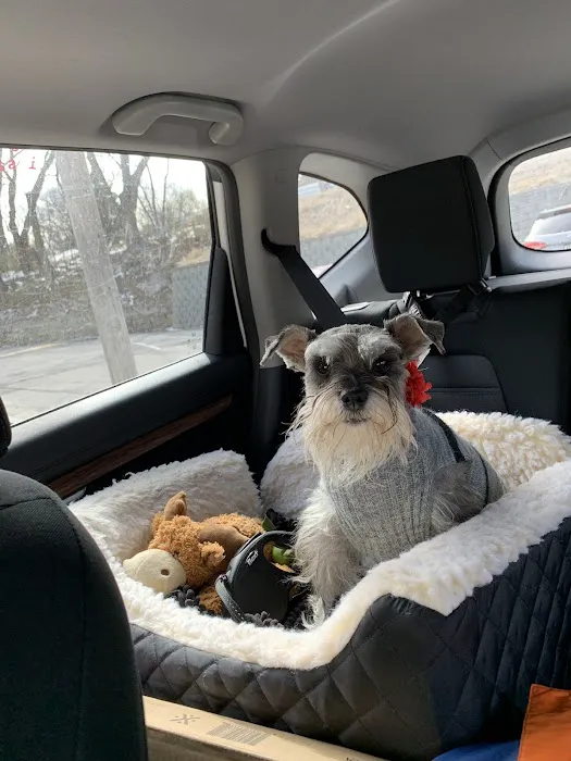 The Pet Clinic Picture 8