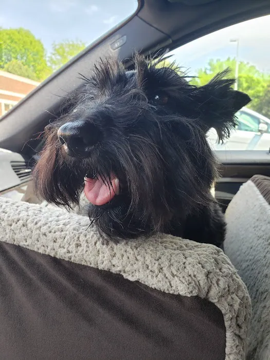 The Pet Clinic Picture 10