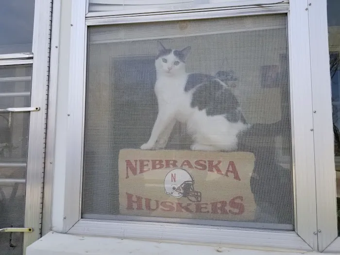 Willis Animal Clinic Picture 4