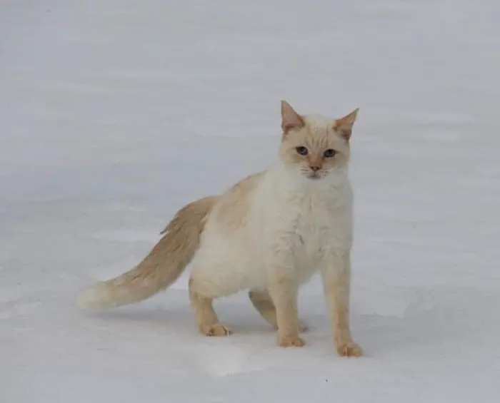 Willis Animal Clinic Picture 5