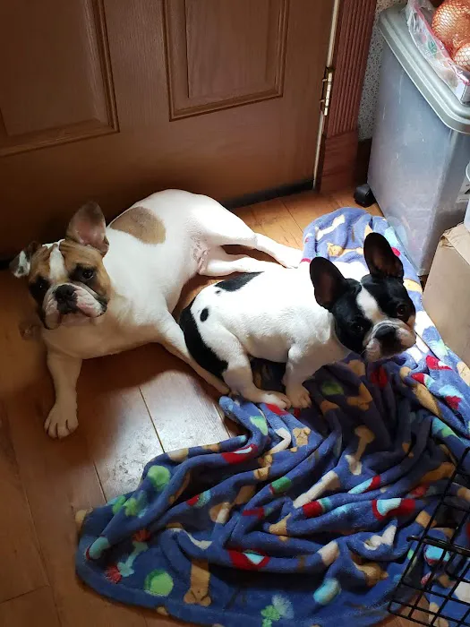 Willis Animal Clinic Picture 7