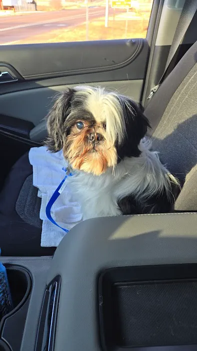 Willis Animal Clinic Picture 9