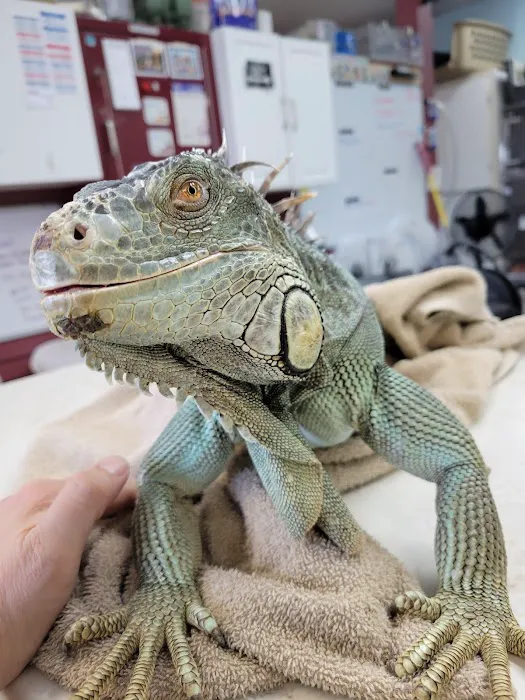 Vital Animal Veterinary Clinic Picture 9