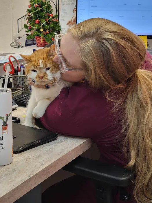 Vital Animal Veterinary Clinic Picture 10