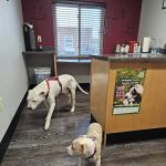 Sioux Nation Pet Clinic