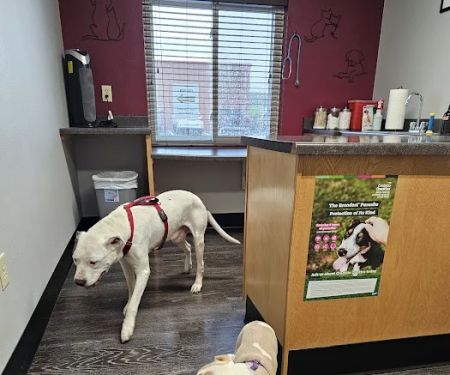 Sioux Nation Pet Clinic
