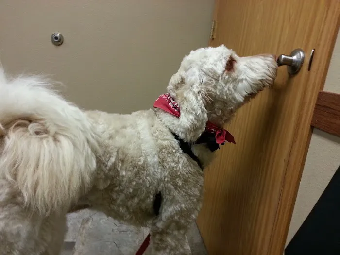 Sioux Nation Pet Clinic Picture 3