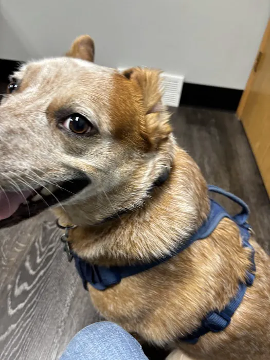 Sioux Nation Pet Clinic Picture 2