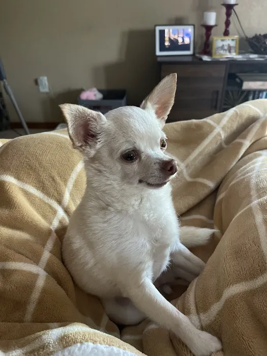 Sioux Nation Pet Clinic Picture 5