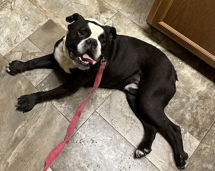 Sioux Nation Pet Clinic Picture 6