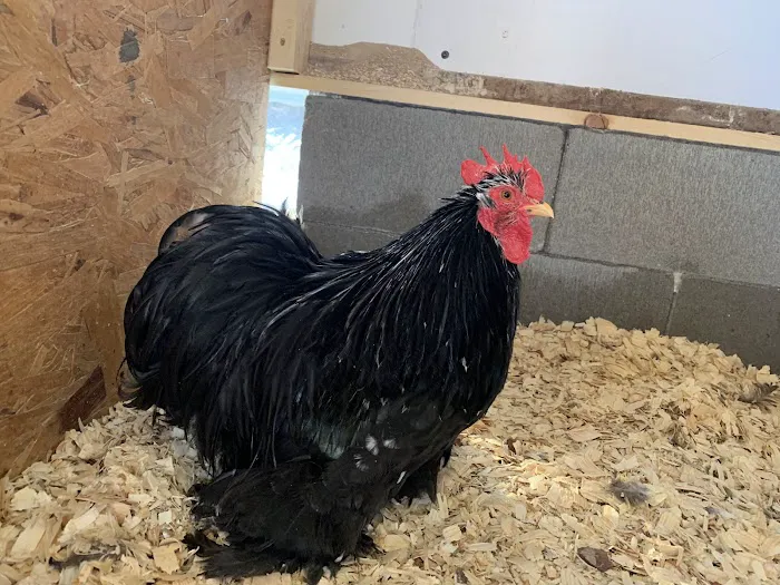 Sioux Nation Ag Center Picture 2