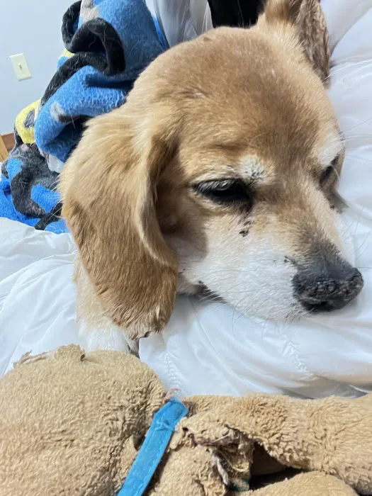 Sioux Nation Ag Center Picture 5