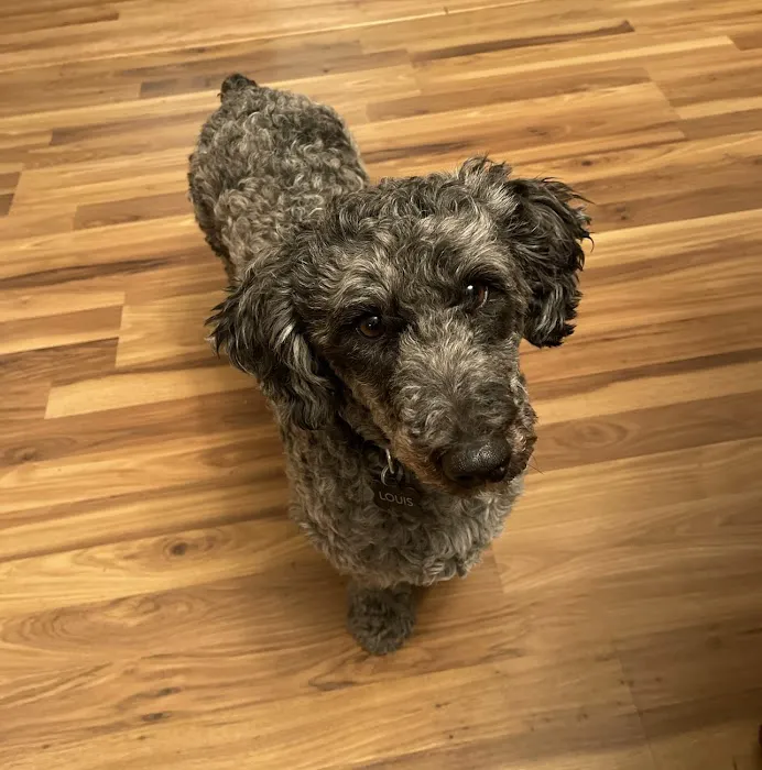 Prairie Creek Pet Hospital Picture 3