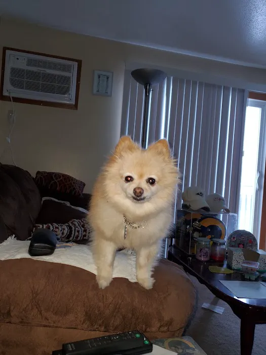 Prairie Creek Pet Hospital Picture 2