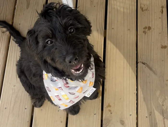 Prairie Creek Pet Hospital Picture 4