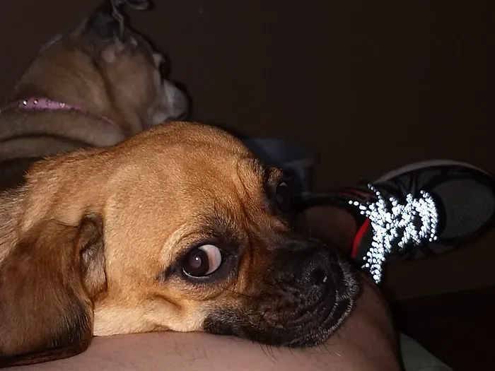 Prairie Creek Pet Hospital Picture 5