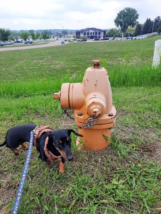 Prairie Creek Pet Hospital Picture 7