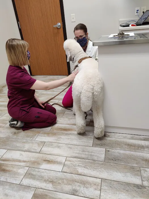 Prairie Creek Pet Hospital Picture 8