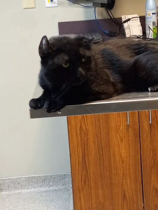 All City Pet Care West Picture 2