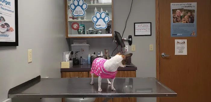 All City Pet Care West Picture 4