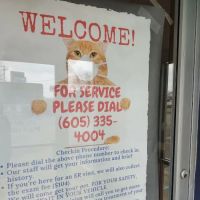 All City Pet Care: Brunner Jaleen DVM ico