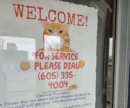 All City Pet Care: Brunner Jaleen DVM