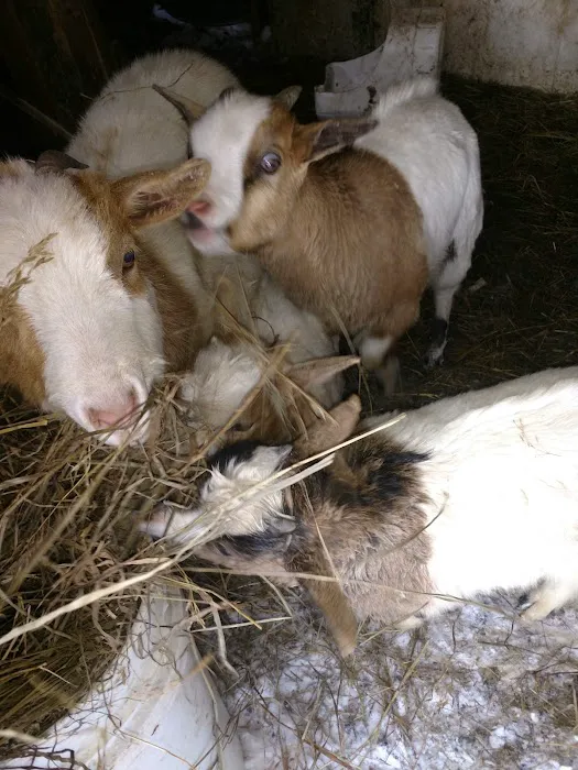 Edgerton Veterinary Clinic Picture 5