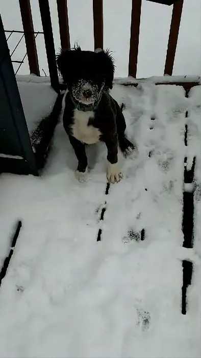 Edgerton Veterinary Clinic Picture 4