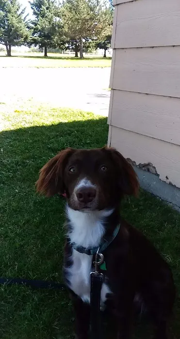 Edgerton Veterinary Clinic Picture 8