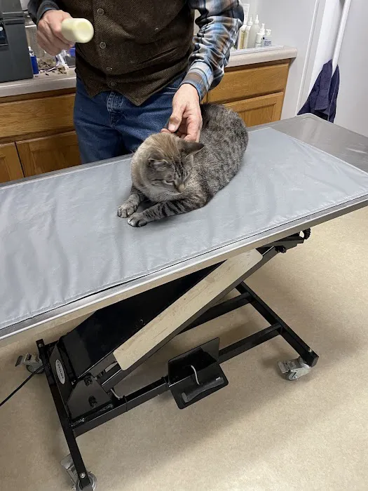 Shaffer Ken Picture 1