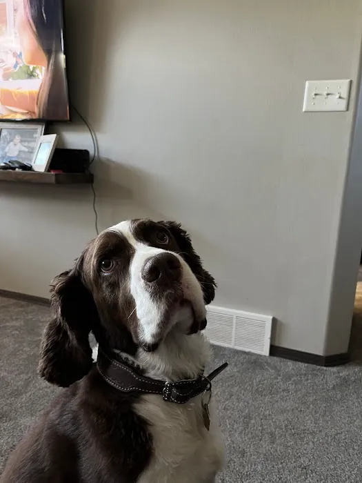 Shaffer Ken Picture 2