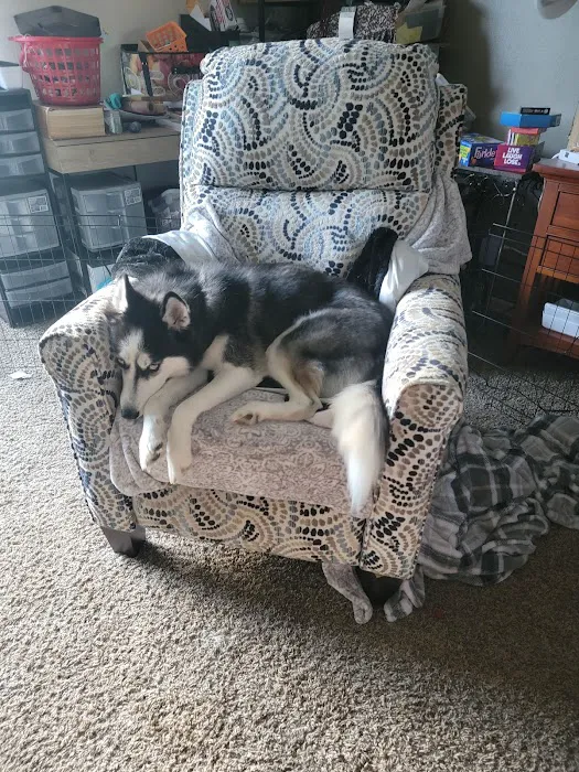 Harrison Street Animal Hospital Picture 1