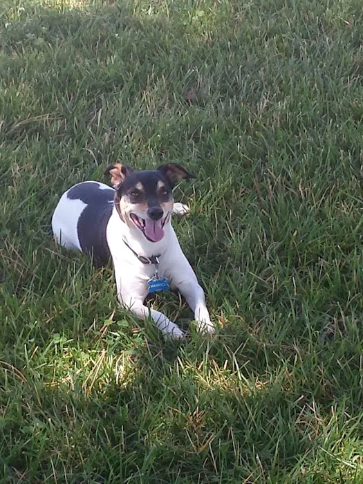 Harrison Street Animal Hospital Picture 6