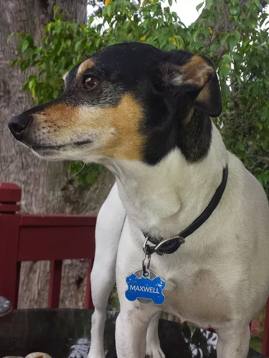 Harrison Street Animal Hospital Picture 8