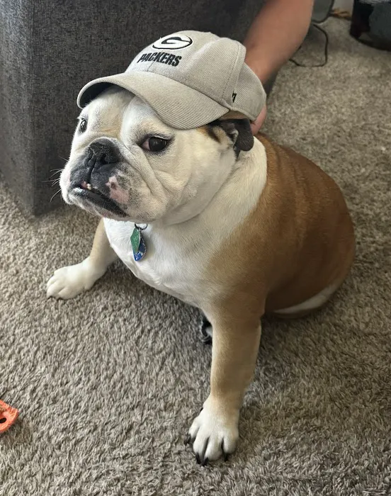 Twin Creek Animal Hospital Picture 1