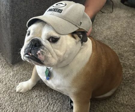 Twin Creek Animal Hospital