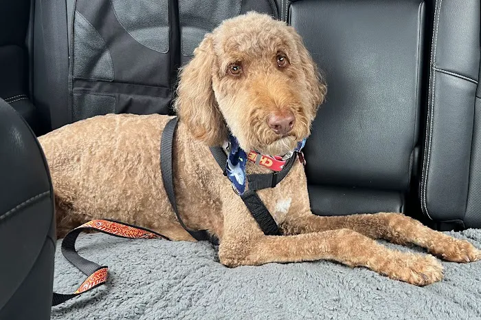 Twin Creek Animal Hospital Picture 4