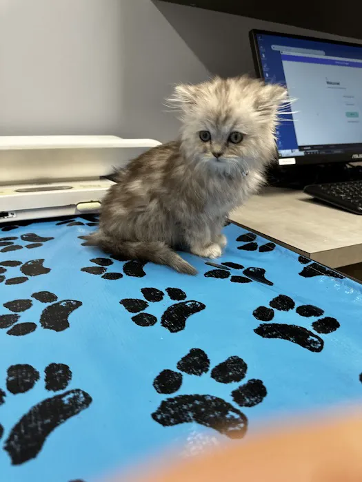 Twin Creek Animal Hospital Picture 2