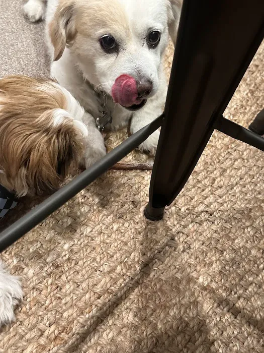 Twin Creek Animal Hospital Picture 5