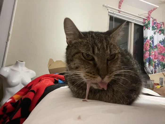 Twin Creek Animal Hospital Picture 3