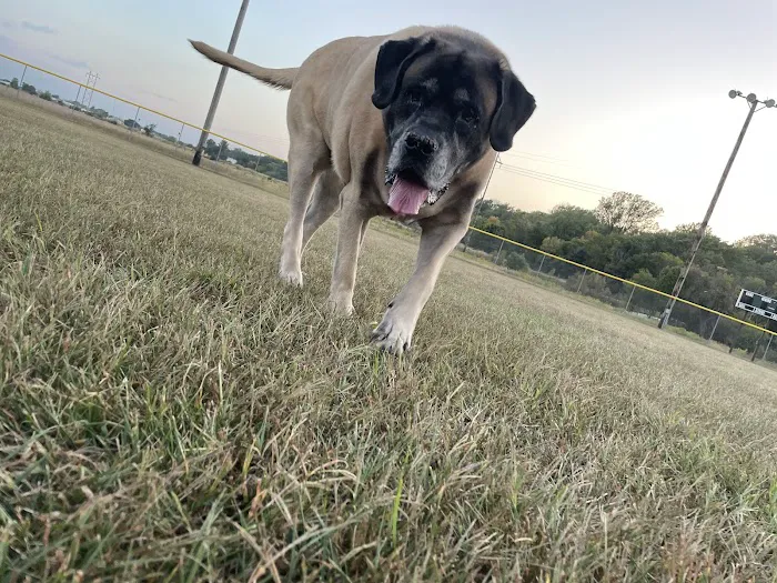 Twin Creek Animal Hospital Picture 8