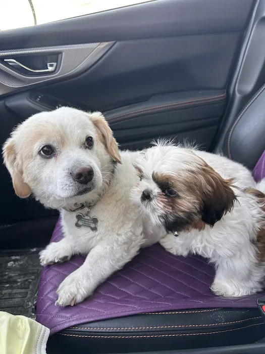 Twin Creek Animal Hospital Picture 6